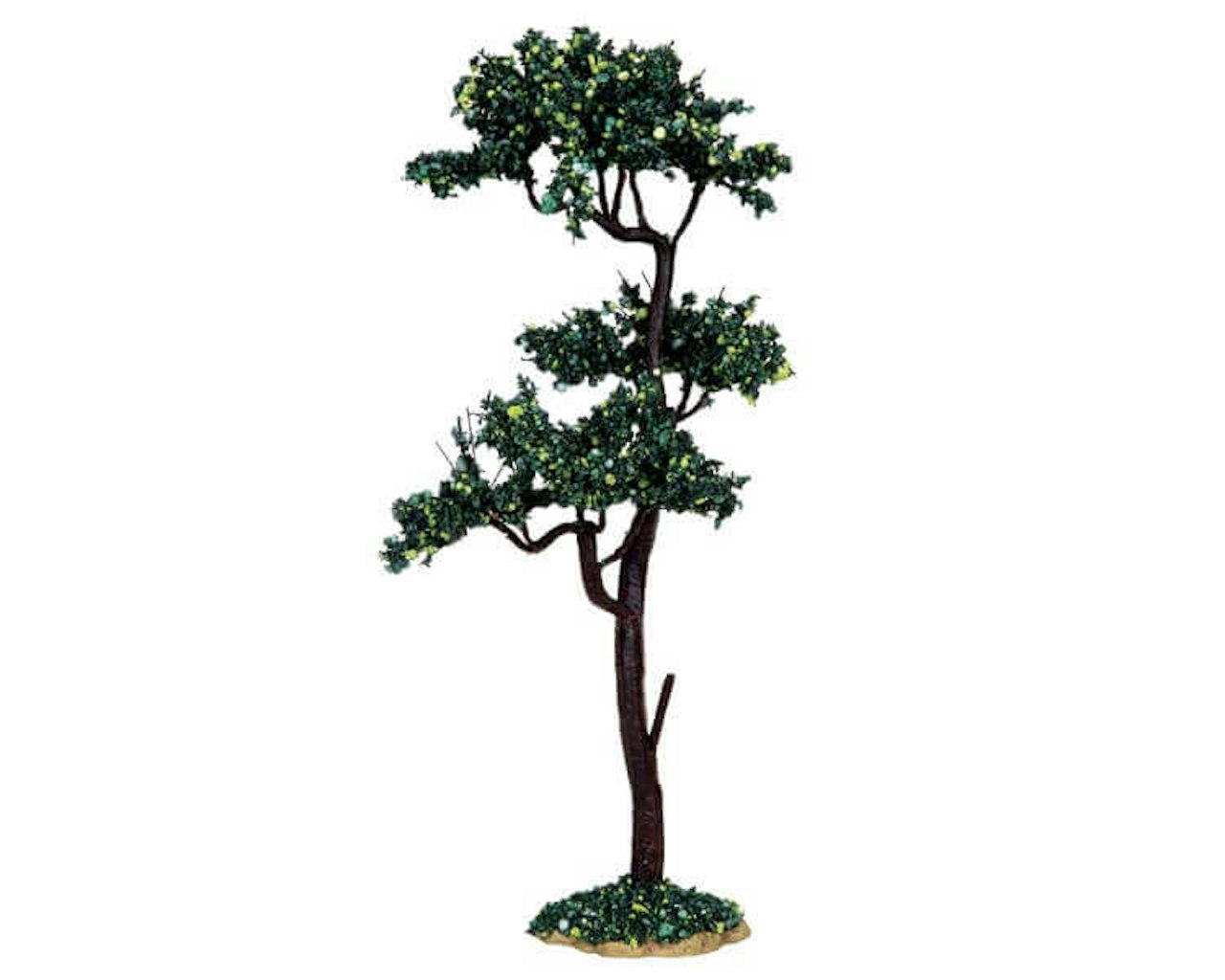Buckeye Tree Large
