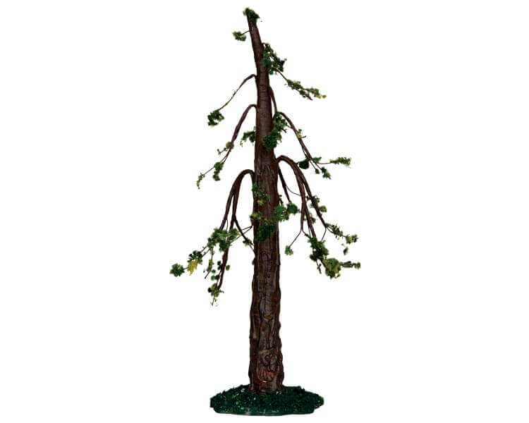 千年樹の樹皮鎧 Barkskin of the Millennium Tree Dogwood Tree