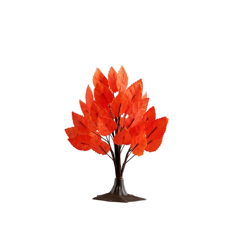 Maple Tree, Medium