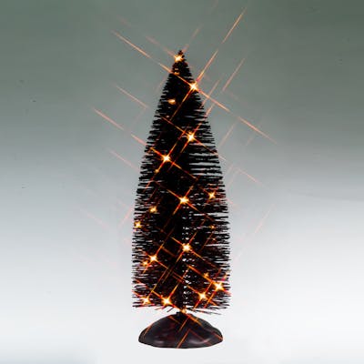 Black Bristle Tree With Orange Lights