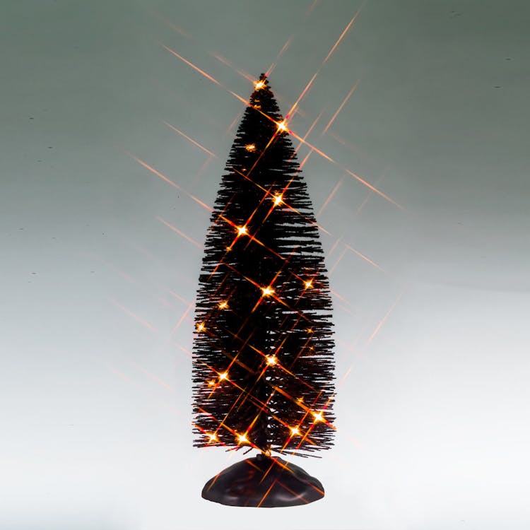 Black Bristle Tree With Orange Lights