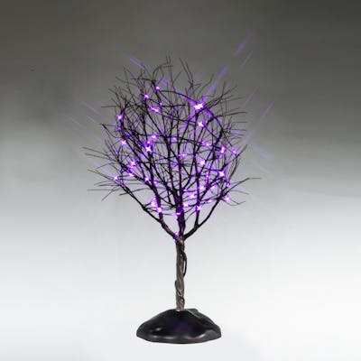 Dry Tree With Purple Lights