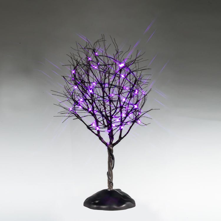 Dry Tree With Purple Lights