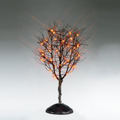 Dry Tree With Orange Lights