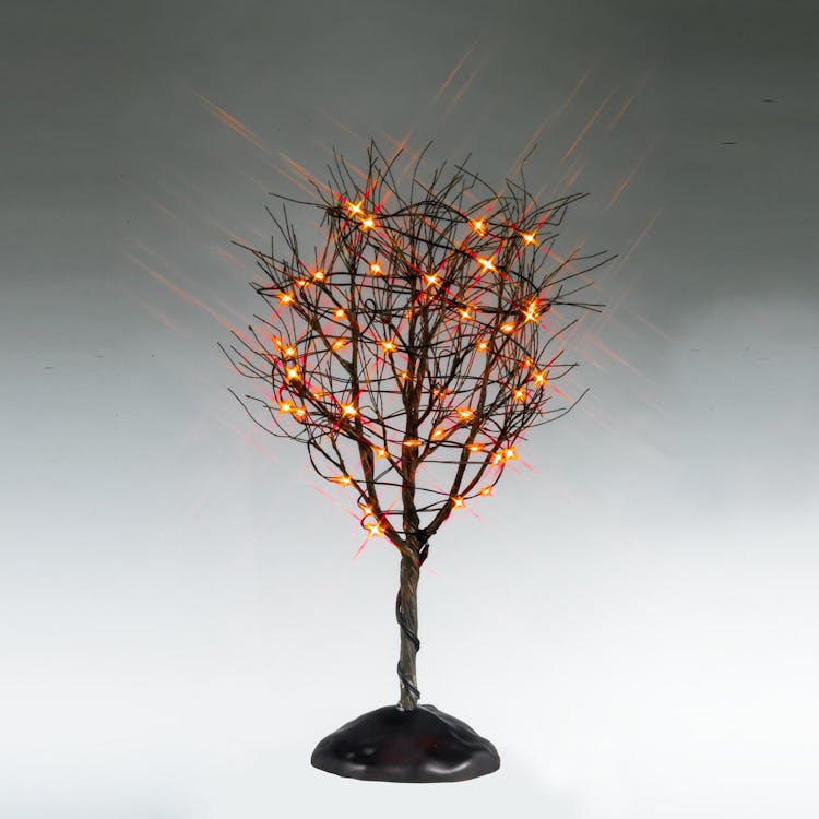 Dry Tree With Orange Lights