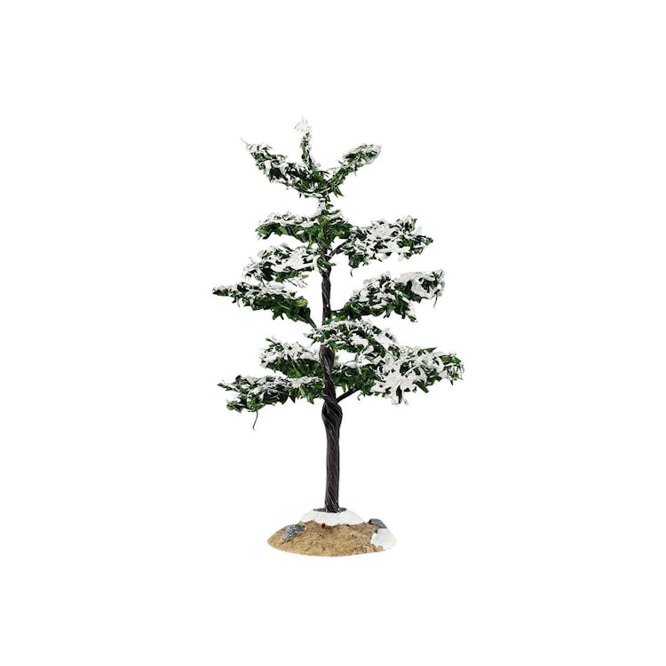 Conifer Tree, Small