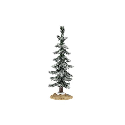 Blue Spruce Tree, Small