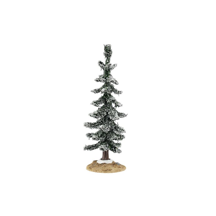 Blue Spruce Tree, Small